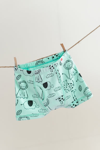 3-Pack Printed Boxer Briefs in Organic Cotton